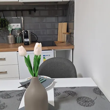 Jedro Apartmán Golubac