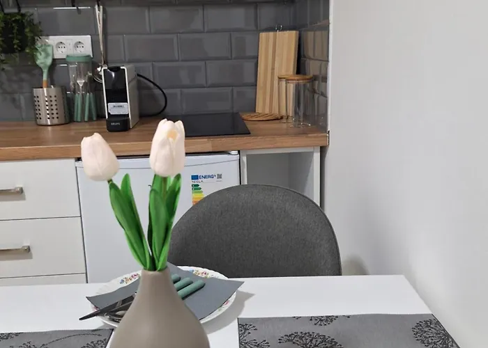 Jedro Apartament Golubac